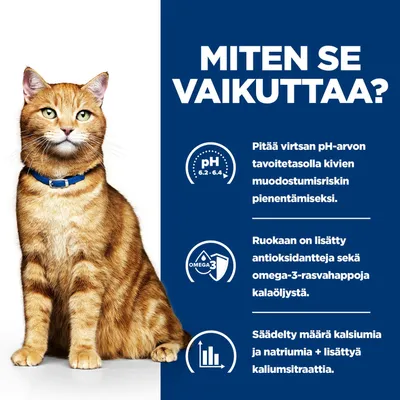 Grafiikka, jossa on kolme kohtaa: pH-arvo 6,2–6,4 kiviriskin vähentämiseksi, lisättyjä antioksidantteja ja omega-3-rasvahappoja, säädellyt määrät kalsiumia, natriumia ja kaliumsittraattia. Grafiikka, jossa on kolme kohtaa: pH-arvo 6,2–6,4 kiviriskin vähentämiseksi, lisättyjä antioksidantteja ja omega-3-rasvahappoja, säädellyt määrät kalsiumia, natriumia ja kaliumsittraattia.