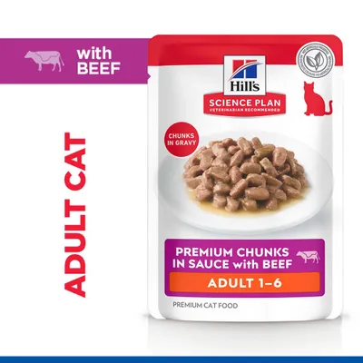 Hill's Science Plan Adult 1 - 6 - Chicken - Multibuy: Beef (48 x 85g)