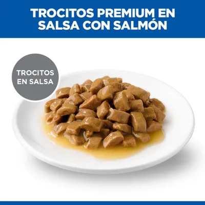 Trocitos Premium en salsa con salmón, servidos en un plato blanco. Texto: Trocitos en salsa.