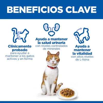 Ventajas clave: Clínicamente probado, favorece la salud del tracto urinario gracias a minerales controlados y promueve la vitalidad con un alto contenido de L-lisina. Imagen de un gato con comida.