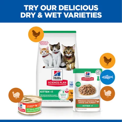 Hill's Science Plan Kitten <1 Dry and Wet Food, with Chicken and Turkey. Shown: food pouch, can, and dry food pack for kittens. Hill's Science Plan Kitten <1 Dry and Wet Food, with Chicken and Turkey. Shown: food pouch, can, and dry food pack for kittens.