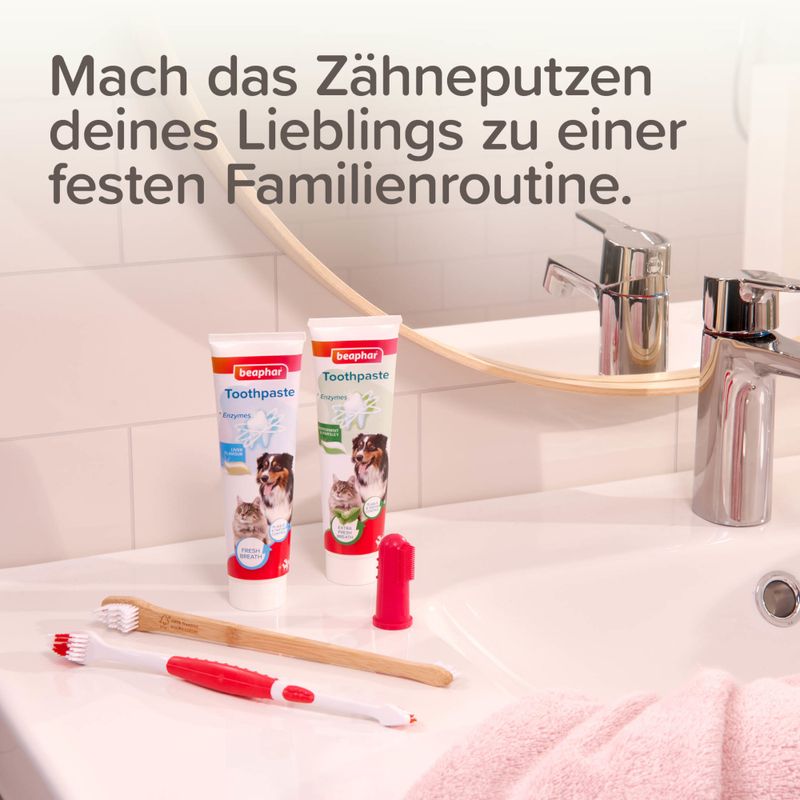 beaphar Zahnbürste für Hunde