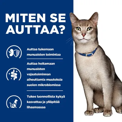 Grafiikka, jossa on kissa ja kolme kohtaa: munuaisten toiminnan tukeminen, apu suolistomikrobiomin muutoksiin munuaisten vajaatoiminnan vuoksi, lihaskasvun edistäminen. Grafiikka, jossa on kissa ja kolme kohtaa: munuaisten toiminnan tukeminen, apu suolistomikrobiomin muutoksiin munuaisten vajaatoiminnan vuoksi, lihaskasvun edistäminen.