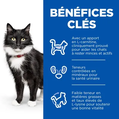 Hill's Science Plan Mature Adult 7+