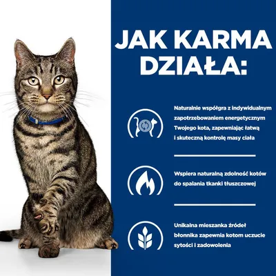 Infografika z kotem i trzema punktami dotyczącymi działania karmy dla kotów: wspomaganie zapotrzebowania na energię, wspieranie spalania tłuszczu, specjalna mieszanka błonnika dla uczucia sytości.