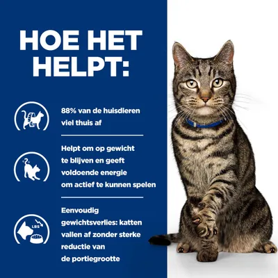 88% van de huisdieren vielen thuis af. Helpt het gewicht te behouden en geeft energie om te spelen. Eenvoudig gewichtsverlies: katten vallen af zonder sterke portievermindering.