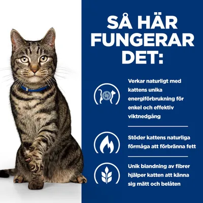 Infografik med katt och tre punkter: stödjer naturlig energiförbränning, främjar fettförbränning, speciell fiberblandning för mättnad. Infografik med katt och tre punkter: stödjer naturlig energiförbränning, främjar fettförbränning, speciell fiberblandning för mättnad.