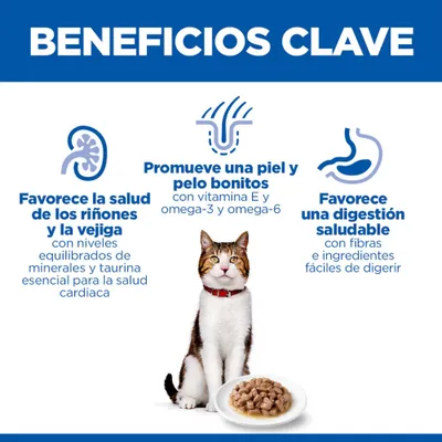 Principales ventajas: Apoya la salud renal y de la vejiga, favorece la piel y el pelaje con vitamina E, omega-3 y -6, y contribuye a una digestión saludable gracias a ingredientes fácilmente digeribles. Principales ventajas: Apoya la salud renal y de la vejiga, favorece la piel y el pelaje con vitamina E, omega-3 y -6, y contribuye a una digestión saludable gracias a ingredientes fácilmente digeribles.