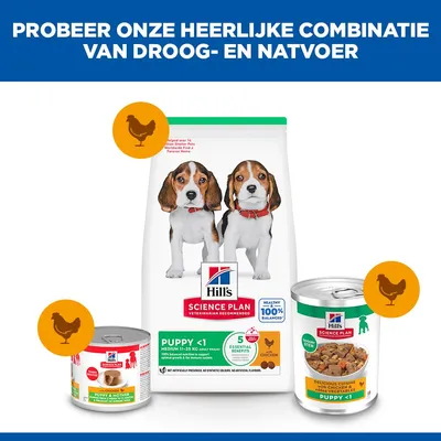 Hill's Science Plan Puppy Stoofpot met Chicken & extra groenten