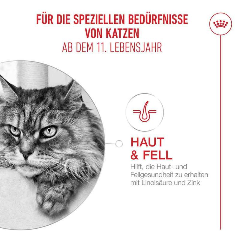 Royal Canin Ageing 11+