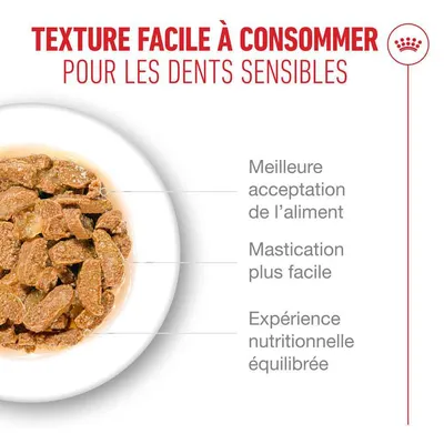 Royal Canin Ageing 11+ en gelée Royal Canin Ageing 11+ en gelée