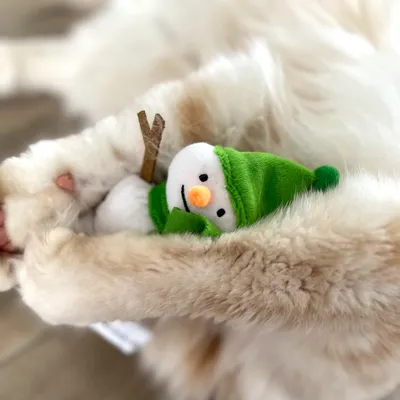 Aumüller Coussin Bonhomme de neige Frozen Fritz pour chat