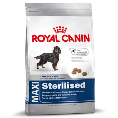 Hrană uscată Royal Canin Maxi Sterilised pentru câini adulți de talie mare (26–44 kg), imagine cu pachet, text vizibil: Ideal body weight, MAXI Sterilised, Large dogs.