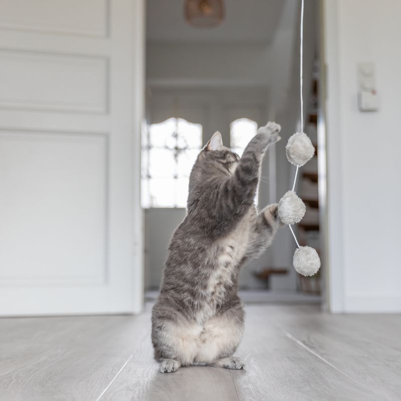 Trixie Undiță de joacă cu catnip