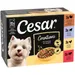 Cesar Selection lihaa ja kasviksia kastikkeessa