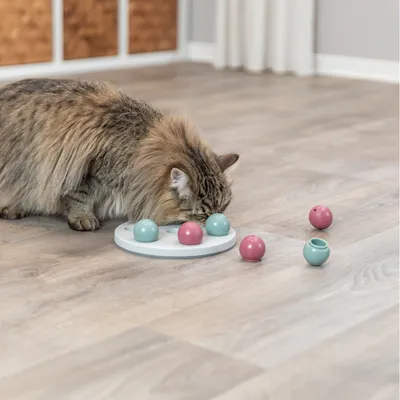 Trixie Cat Activity Strategy Game Solitaire pour chat