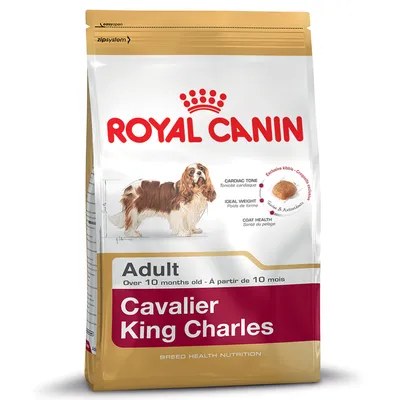 Royal Canin Adult Cavalier King Charles hondenvoer, geschikt vanaf 10 maanden. Tekst: Cardiac Tone, Ideal Weight, Coat Health, Exclusive kibble. Afbeelding van een Cavalier King Charles.
