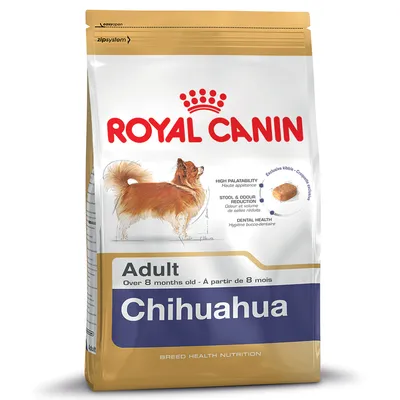 Royal Canin Adult Chihuahua hondenvoer, afbeelding van een langharige chihuahua, tekst: high palatability, stool & odour reduction, dental health, exclusieve brok. Voor honden ouder dan 8 maanden.