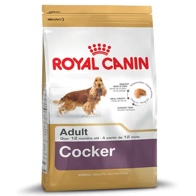 Royal Canin Adult Cocker hondenvoer, geschikt voor honden ouder dan 12 maanden. Tekst: Healthy skin & coat, ideal weight, cardiac tone. Afbeelding van een cocker spaniel en brokjes.