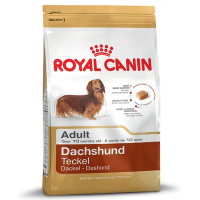 Royal Canin Adult Dachshund hondenvoer, voor teckels ouder dan 10 maanden. Tekst: joint & bone support, muscle tone, stool & odour reduction. Afbeelding van een langharige teckel.
