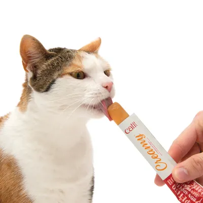 Kissa nuolee Catit Creamy -herkkua puristettavasta tuubista, jota pidetään kädessä. Kissa nuolee Catit Creamy -herkkua puristettavasta tuubista, jota pidetään kädessä.