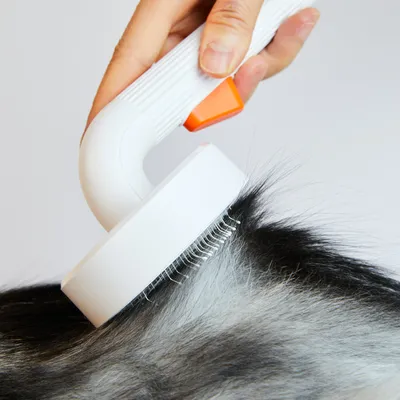 Petkit Pflegebürste für Haustiere 2.0