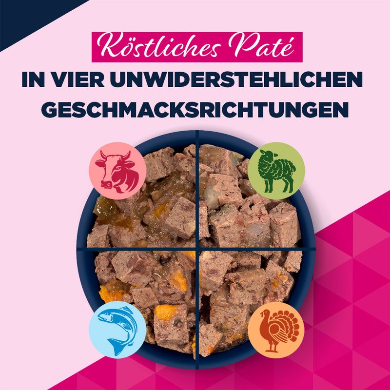 Eukanuba Senior Reich an Rind mit Kürbis
