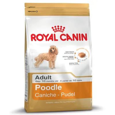 Royal Canin Adult Poodle hondenvoer, zichtbaar: afbeelding van poedel, tekst 'Coat Health', 'Healthy Ageing Support', 'Muscle Tone', geschikt vanaf 10 maanden.