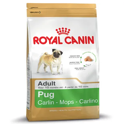 Royal Canin Adult Pug hondenvoer, geschikt voor volwassen mopshonden vanaf 10 maanden. Tekst: gezonde huid, spiertoon, ideaal gewicht, exclusieve brok met Omega 3.