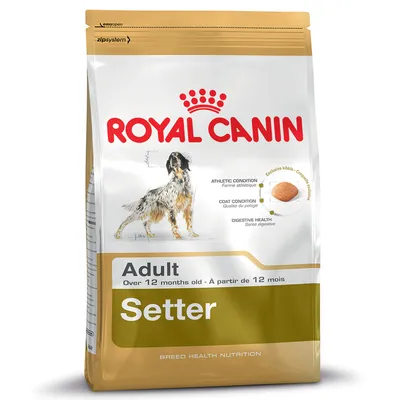 Royal Canin Setter Adult hondenvoer, geschikt voor honden vanaf 12 maanden. Tekst op verpakking: athletic condition, coat condition, digestive health, exclusive kibble.