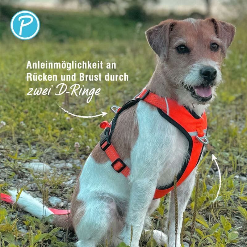 Petlando Outdoor harnais, orange