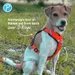 Petlando Outdoor harnais, orange