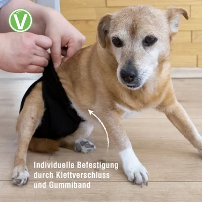 Vetlando Waschbare Hündinnenwindel