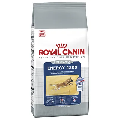 Saco de ração Royal Canin Performance Energy 4300, 15 kg. Texto visível: 'Activity Booster', 'Extreme quality', 'Optimal digestive safety', 'Joint maintenance'. Imagem de cão a correr.