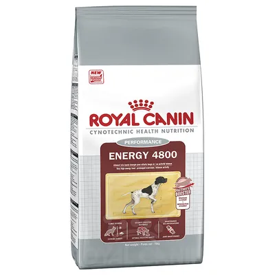 Saco de ração Royal Canin Performance Energy 4800, 15 kg. Texto visível: 'Activity Booster', ícones para clima extremo, segurança digestiva e manutenção das articulações.