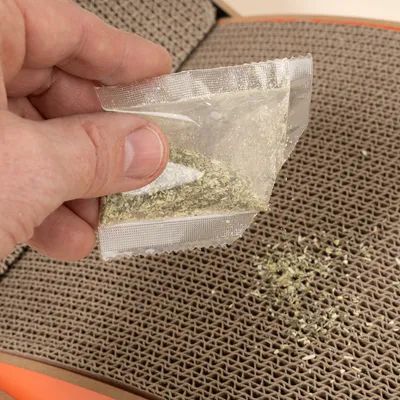 Hamaca TIAKI de cartón ondulado Hamaca TIAKI de cartón ondulado