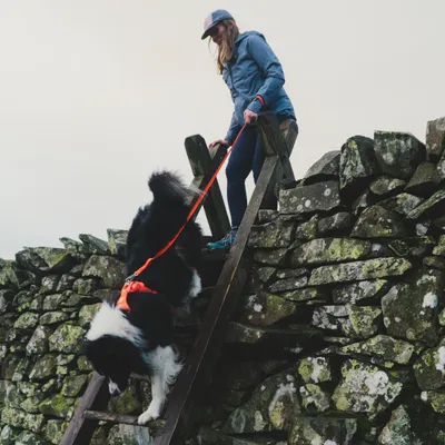 Ruffwear Front Range Hundeleine, Blaze Orange