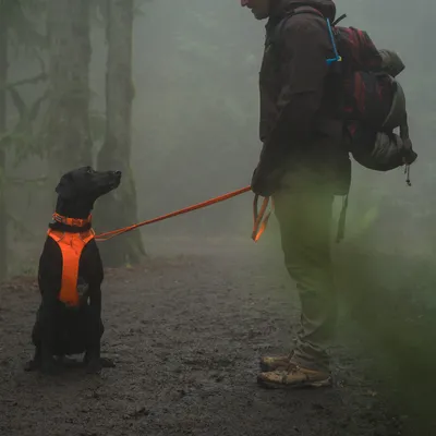 Ruffwear Front Range szelki dla psa, Blaze Orange