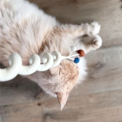 Aumüller Jouet pour chat Loopy Spiral - 1 jouet Aumüller Jouet pour chat Loopy Spiral - 1 jouet