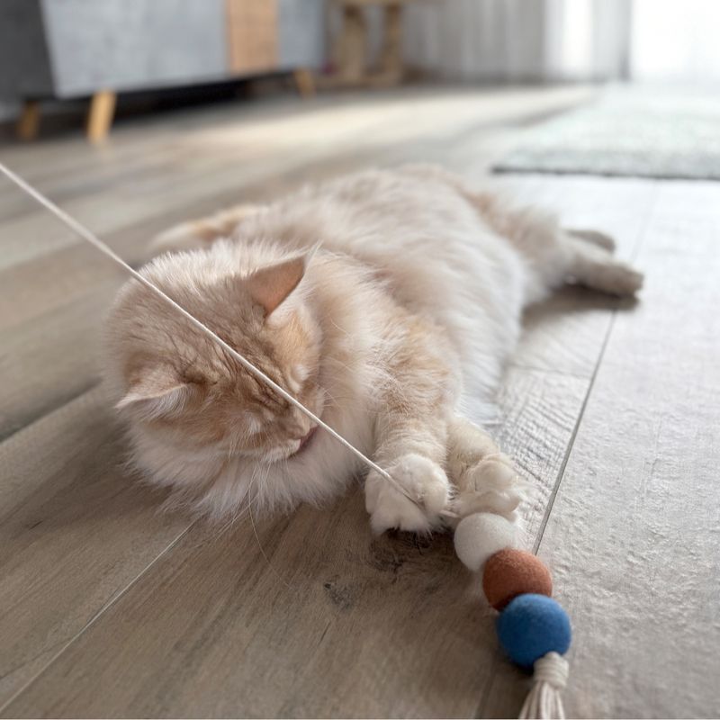 Aumüller Canne à pêche pour chat Filoa Macramee