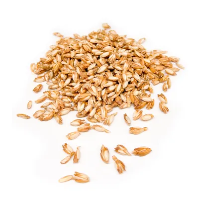 Aumüller Coussin pour chat Lama Luigi