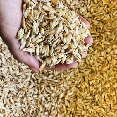 Aumüller Coussin pour chat Lama Luigi