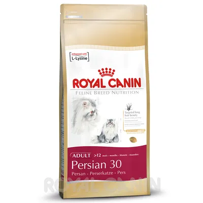 Bag labelled Royal Canin Feline Breed Nutrition, Persian 30, adult over 12 months, enhanced with L-Lysine, targeted long hair beauty, special kibble shape shown.