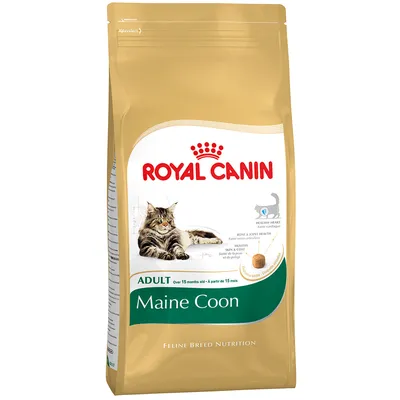 Saco de pienso Royal Canin Maine Coon Adult, imagen de un gato Maine Coon, texto visible: ADULT over 15 months old, Feline Breed Nutrition.