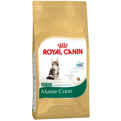 Saco de pienso Royal Canin Maine Coon Kitten para gatos hasta 15 meses. Imagen de un gato Maine Coon, texto en inglés: 'Feline Breed Nutrition', 'Digestive Health', 'Natural Defences Support'.