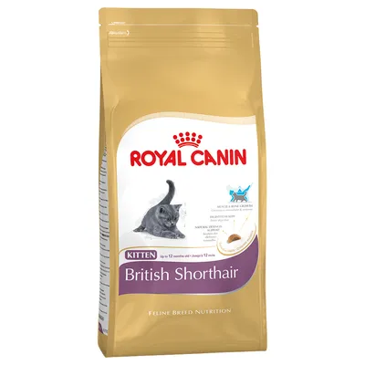 Saco de pienso Royal Canin Kitten British Shorthair para gatitos hasta 12 meses. Imagen de un gato gris y croqueta en el envase. Texto: Feline Breed Nutrition.