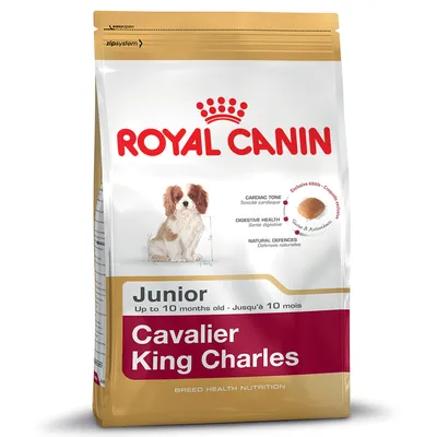 Junior food for Cavalier King Charles up to 10 months, with features for cardiac tone, digestive health, natural defences and exclusive kibble shape shown on packaging.