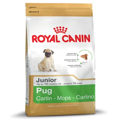 Bag showing Royal Canin Junior Pug food for up to 10 months old, with features: healthy skin, digestive health, natural defences, exclusive kibble shape, and Omega 3.