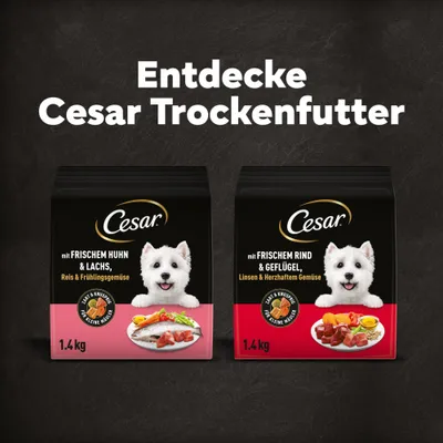 Cesar Trockenfutter: mit frischem Huhn & Lachs, Reis & Frühlingsgemüse sowie mit frischem Rind & Geflügel, Linsen & herzhaftem Gemüse. Packungen à 1,4 kg.