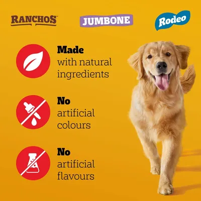 Pedigree Dog Treats Party Pack - 241g